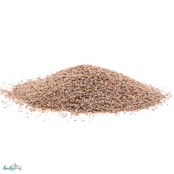 Blond psyllium seed